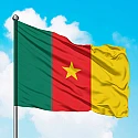 Прапор Камеруну