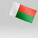 Флажок Мадагаскара