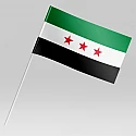 Флажок Сирии