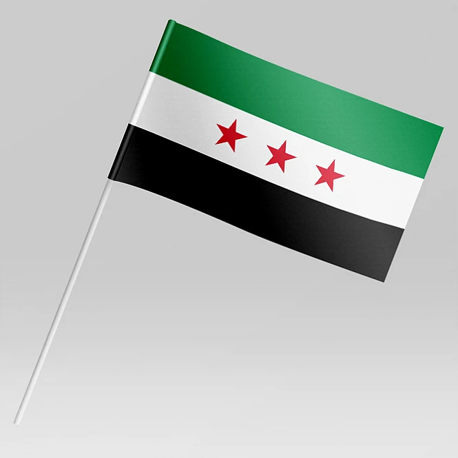Флажок Сирии